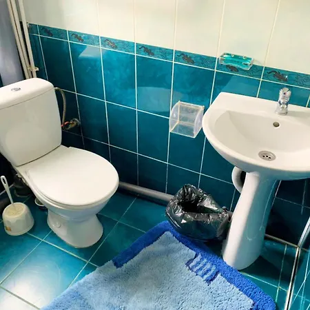 招待所 зелений дім - Viridi House