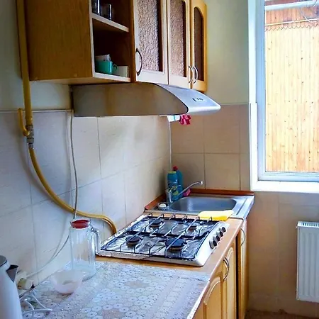 зелений дім - Viridi House Morshyn